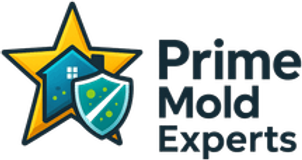 Prime Mold Experts