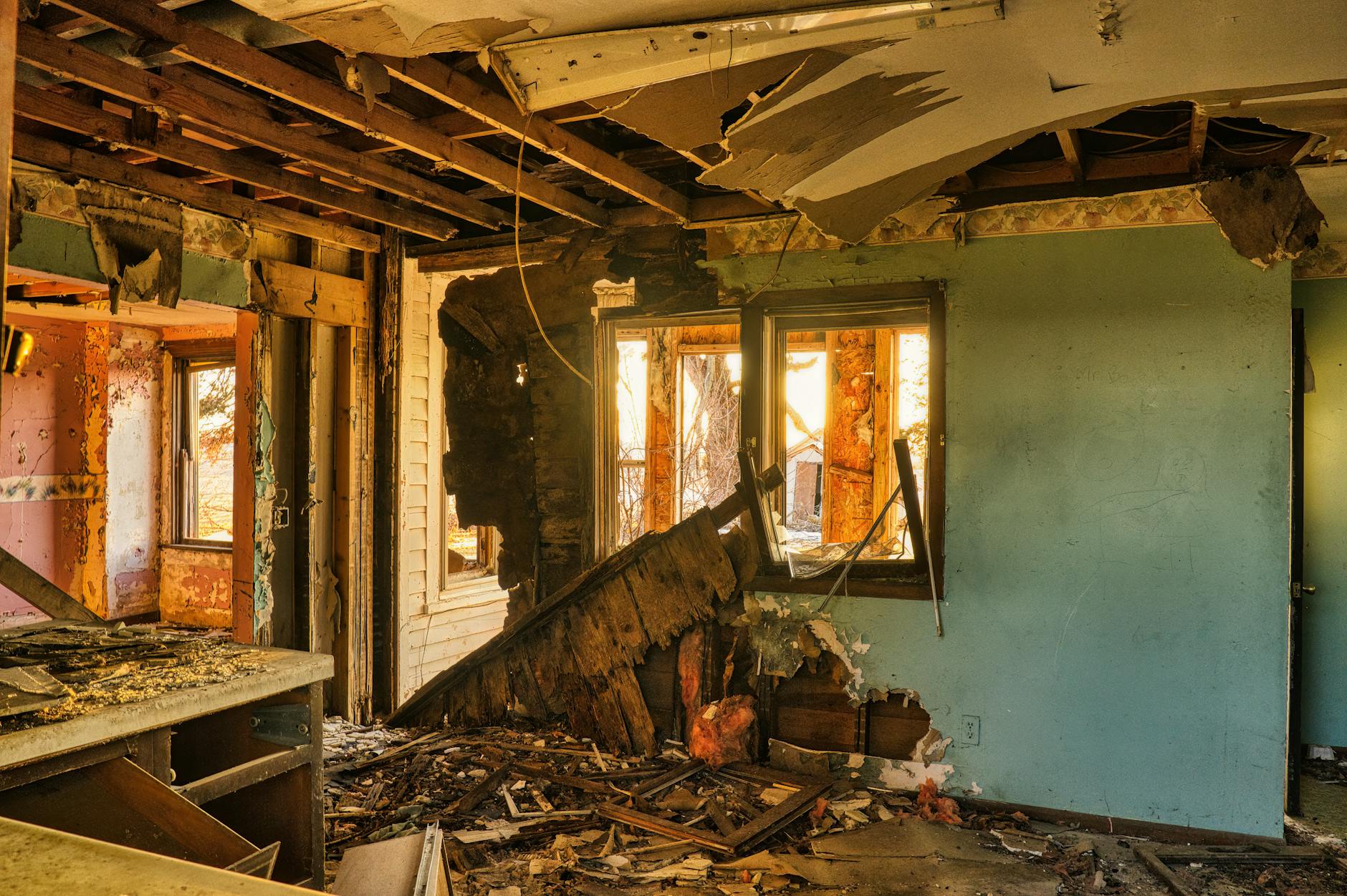 Mold Removal Mold Gallery Lakeland